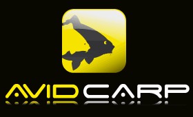 avid carp